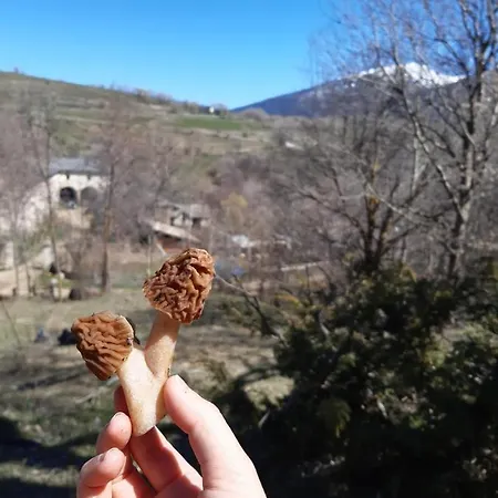 Mas Rondole - D'hotes Saillagouse