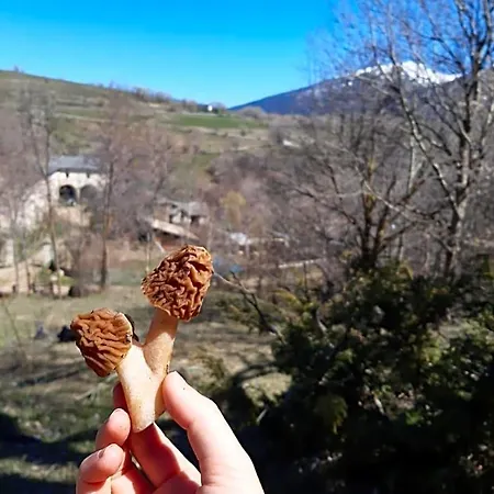 Mas Rondole - D'hotes